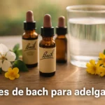 flores de bach para adelgazar guia emocional